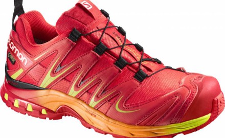 SALOMON XA PRO 3D GTX 10TH ANNIVERSARY RADIANT RED / GECKO GREEN