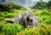 ecotourism circuits in Kenya2