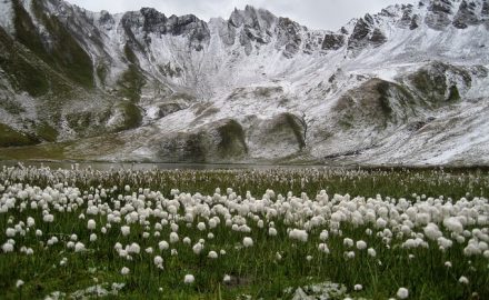 Séjour à la montagne en été - où partir