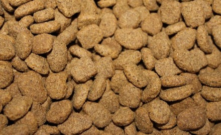 croquettes pour chien