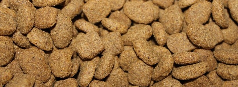 dog kibble