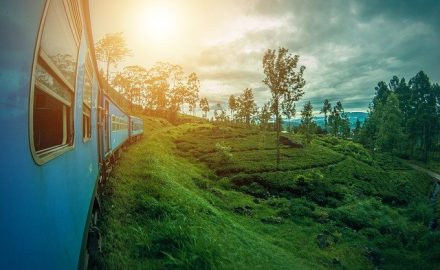 Voyager au Sri Lanka