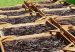 The health benefits of vanilla
