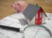 white and red wooden house beside a grey-framed magnifying glass